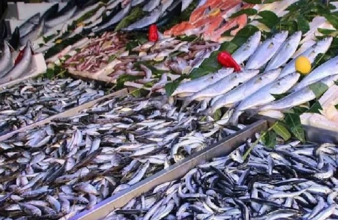 Burun kıvıranı çok ama en sağlıklı balık o