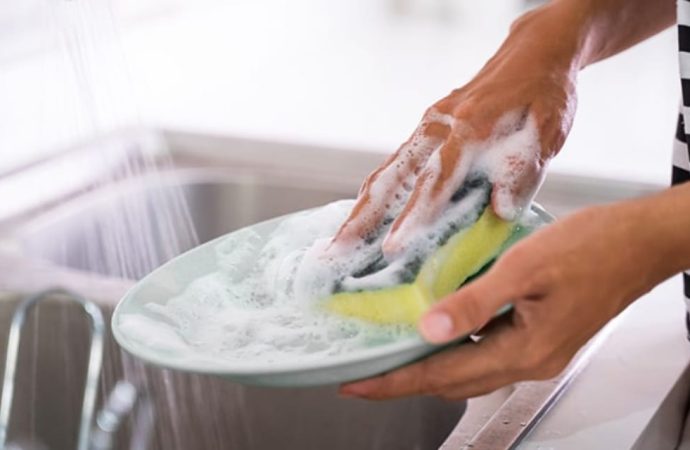 Bulaşık süngeri: Dünya nüfusundan daha çok bakteri taşıyor