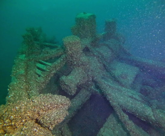 139 yıldır denizin dibindeydi, amatör kaşifler sadece iki saatte buldu