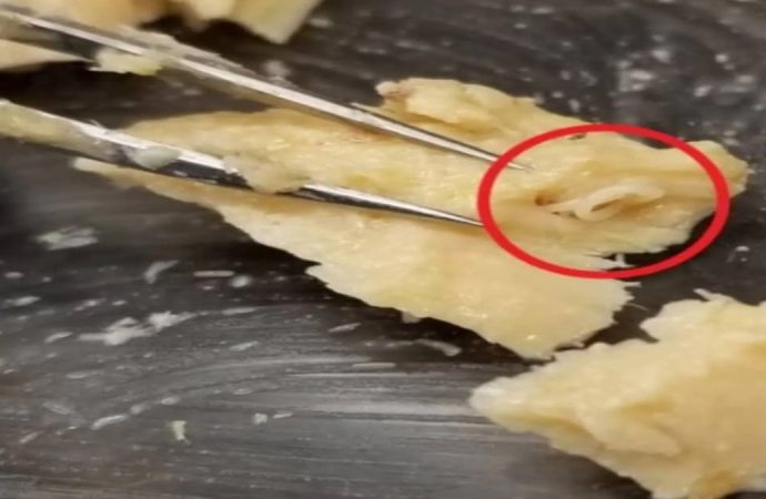 42 yıllık büyük keşif: Konserveler parazitleri zaman kapsülü gibi korumuş