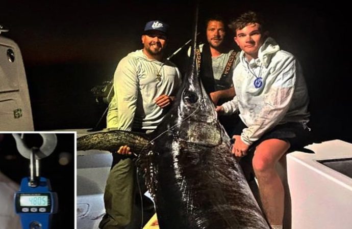 Beş saatte tuttukları dev balık bütün kasabayı doyurdu