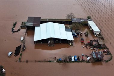 Gediz Nehri taştı, tarım arazileri su altında kaldı