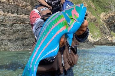 Renkleri neon lambanınki gibi: Bu balık gerçekten balık mı