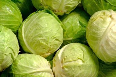 Yeni moda sebzemiz, bildiğiniz lahana: Ama faydası saymakla bitmiyor