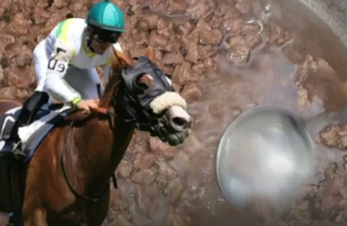 Yarış atının eti nasıl oldu da aşevi mutfağına girdi?