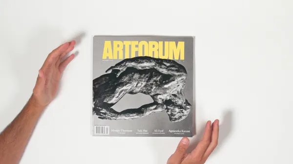 Prestijli sanat dergisinde dildolu skandal