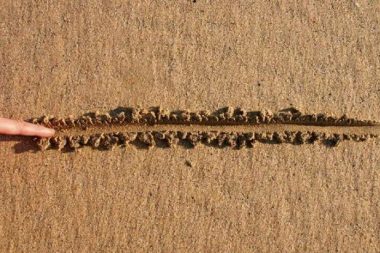 Herkes Haddini Bilsin yani!