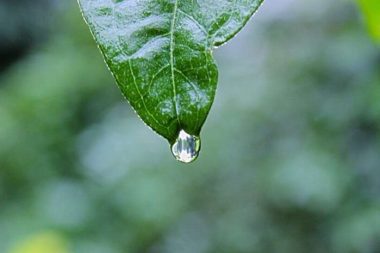 Bir okyanus mu olmak isterdiniz ya da o okyanusta bir damla?