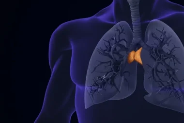 Yapay zeka yardımıyla büyük keşif: ‘Gereksiz’ denen organ uzun yaşamın anahtarı çıktı