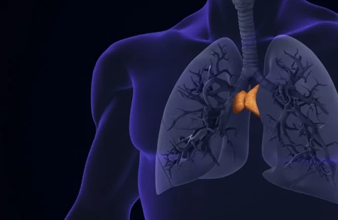 Yapay zeka yardımıyla büyük keşif: ‘Gereksiz’ denen organ uzun yaşamın anahtarı çıktı