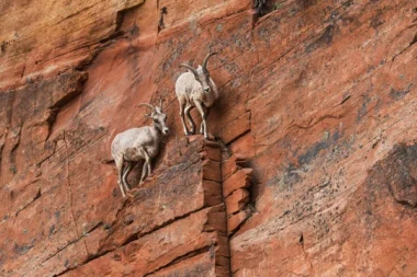 Kaygı nasıl azaltılır? Zor zamanlar için 9 etkili yöntem