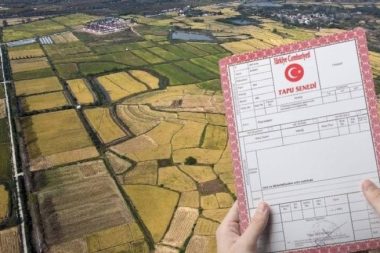 Hobi evi ve bahçesi, konteyner ev sahiplerine kötü haber