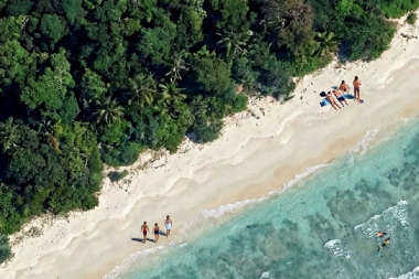 Sık orman dokusu geçit vermiyor: Kimse giremiyor, giren kimse çıkamıyor