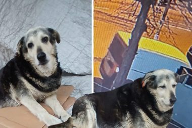 Kadıköy’ün ‘Pakize’sini öldürüp kaçtılar