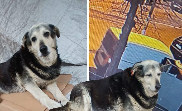 Kadıköy’ün ‘Pakize’sini öldürüp kaçtılar