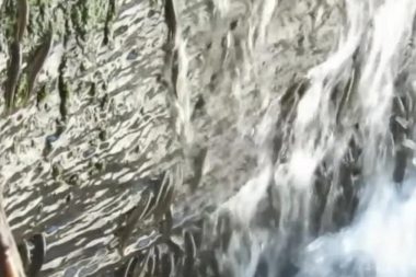 Balıkların ‘Everest’i: 15 metreyi 10 saatte tırmanıyorlar