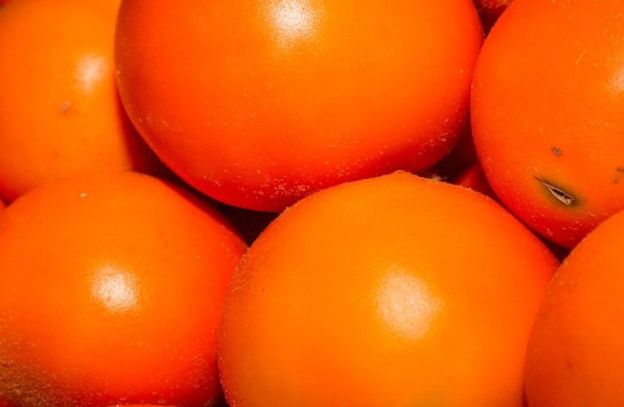 Çarşıdan aldım portakal, eve geldim domates: Bu meyvenin yurt dışına çıkarılması yasak