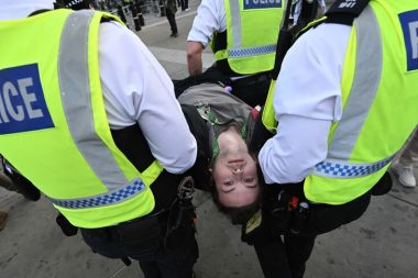 Palestine Action grubuna destek eylemi: 87 yaşında gözaltına alındı