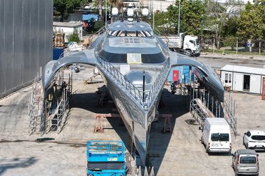 Dünyada sadece iki tane var: 33 milyon dolarlık devlerden biri bakıma geldi