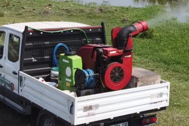 ‘Karasinek ve sivrisinek’ alarmı: Valilik genelge yayınladı