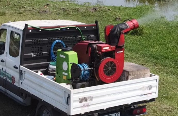 ‘Karasinek ve sivrisinek’ alarmı: Valilik genelge yayınladı