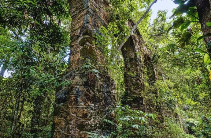 Doğanın sakladığı 5 bin yıllık kale gün yüzüne çıktı