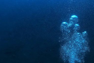 9 mideli dev canlı okyanusta saklanıyor: Canlı gören tek kişi yok